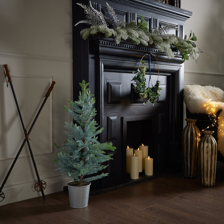 Garda Pine Tree in Stone Pot